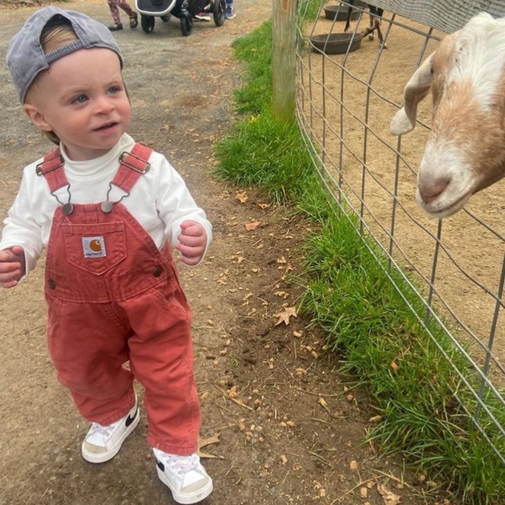 Carhartt overalls 12 months